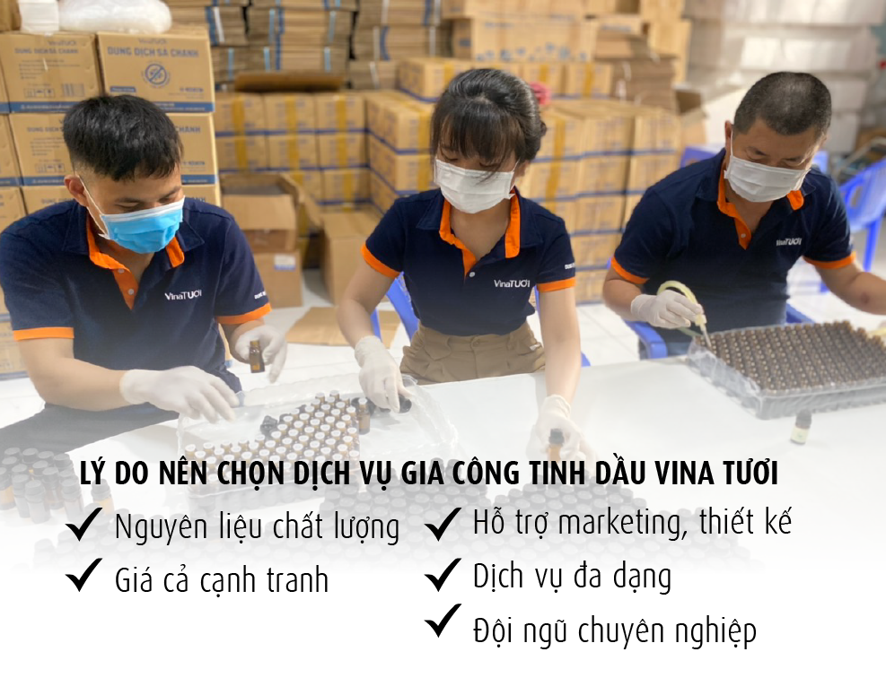 Tại sao gia công tinh dầu sả Vina Tươi lại được khách hàng ưa chuộng