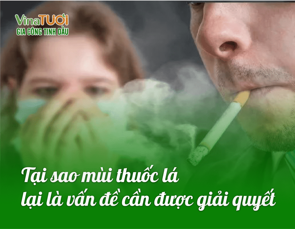 Tại sao mùi thuốc lá 