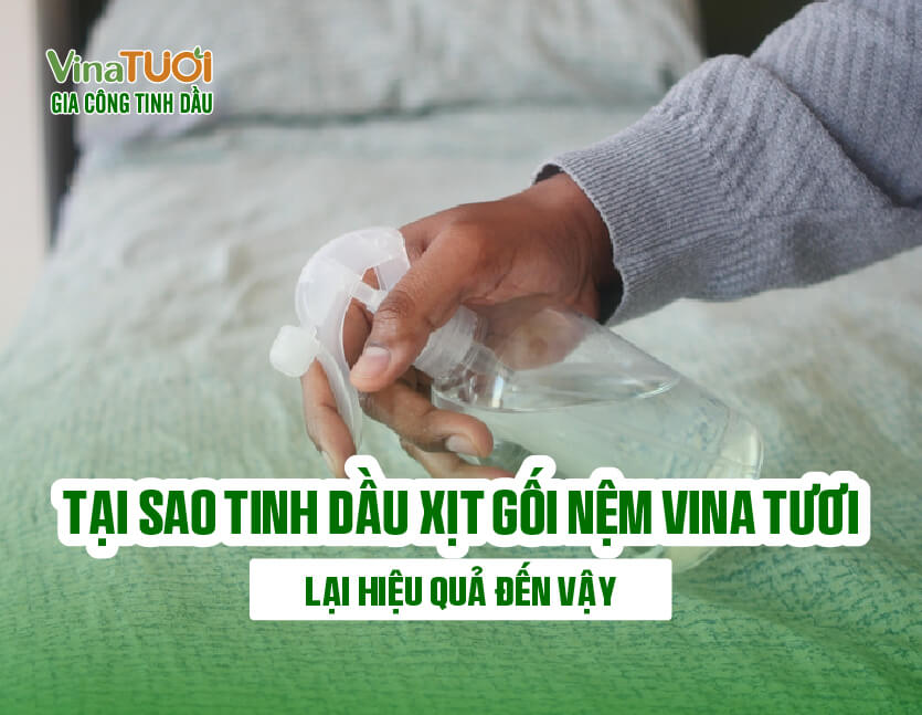 Tại sao tinh dầu xịt gối nệm vina tươi lại hiệu quả đến vậy?