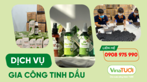 Tận Dụng Dịch Vụ Gia Công Tinh Dầu Để Xây Dựng Thương Hiệu Cá Nhân