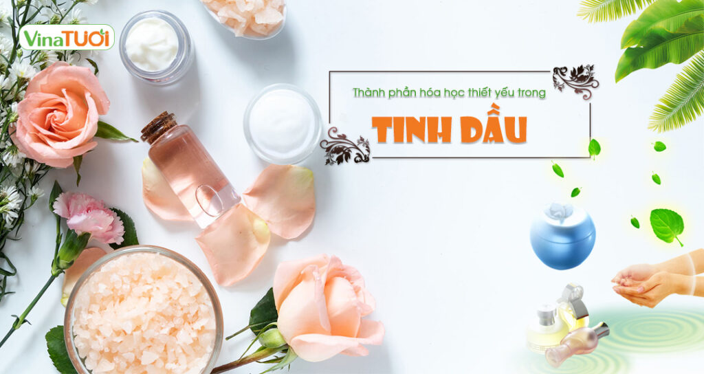 Thành phần thiết yếu trong tinh dầu