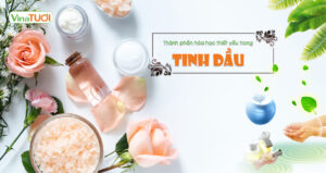 Thành phần thiết yếu trong tinh dầu
