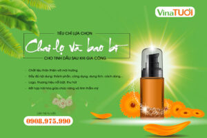 Tiêu chí lựa chọn chai lọ và bao bì tinh dầu