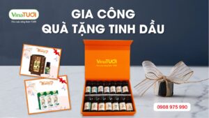 Tìm kiếm đối tác gia công quà tặng tinh dầu uy tín? Hãy đến với Vina Tươi!