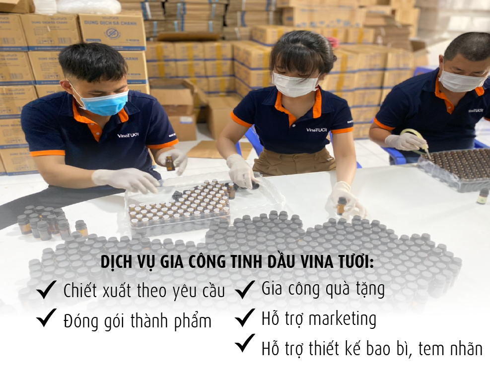 Tìm kiếm đối tác gia công quà tặng tinh dầu uy tín? Hãy đến với Vina Tươi!