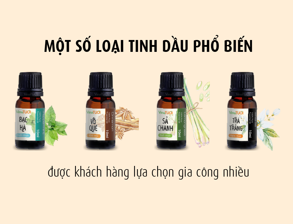 Tìm kiếm đối tác gia công quà tặng tinh dầu uy tín? Hãy đến với Vina Tươi!