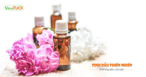 Tinh dầu thiên nhiên và những điều cần biết