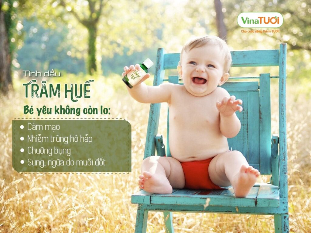 Tinh dầu tràm Huế