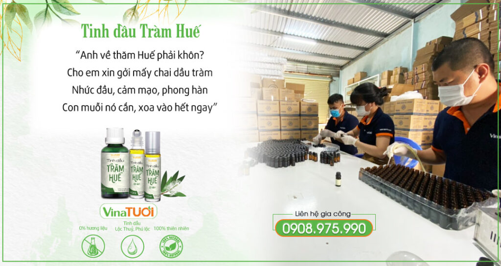 Hình gia công tinh dầu tràm huế