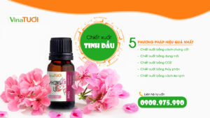Top 5 phương pháp gia công chiết xuất tinh dầu