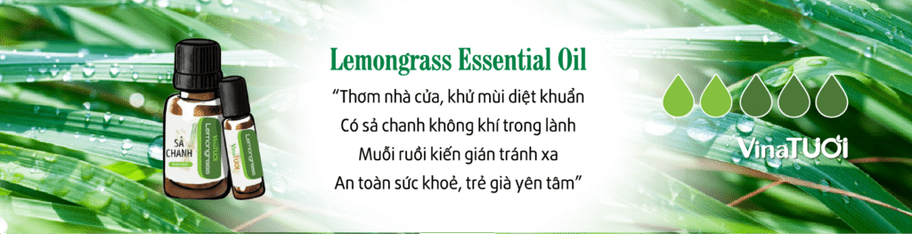 Vina Tươi - Đối tác tin cậy trong gia công quà tặng tinh dầu sả chanh