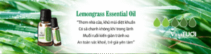 Vina Tươi - Đối tác tin cậy trong gia công quà tặng tinh dầu sả chanh