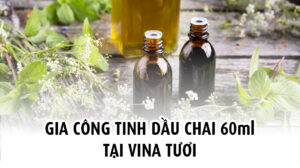 Vina Tươi - Đơn vị gia công tinh dầu 60ml chất lượng hàng đầu