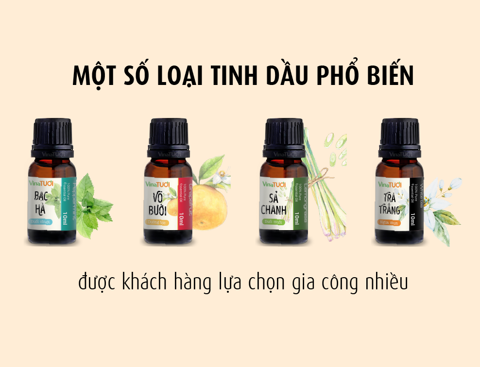 Vina Tươi - Nhà máy Gia công Tinh Dầu: Đối tác tin cậy cho doanh nghiệp của bạn