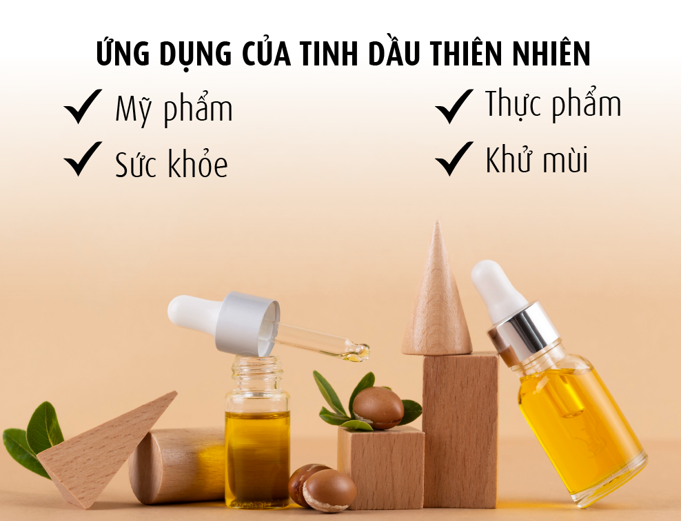 Vina Tươi - Nhà máy Gia công Tinh Dầu: Đối tác tin cậy cho doanh nghiệp của bạn