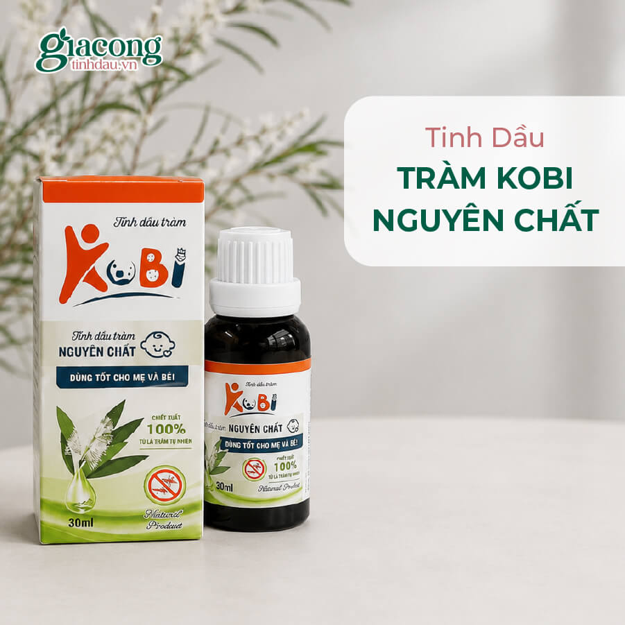 Dự án gia công tinh dầu tràm nguyên chất Kobi theo yêu cầu thương hiệu