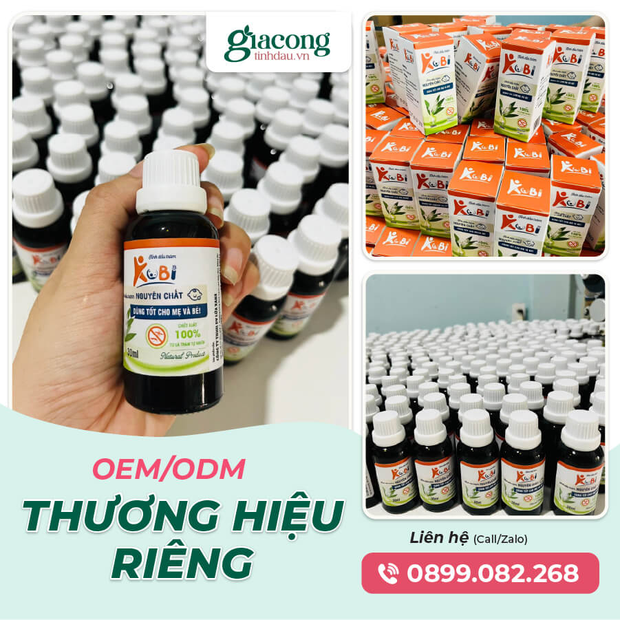 Giải pháp gia công OEM ODM tinh dầu tràm nguyên chất trọn gói