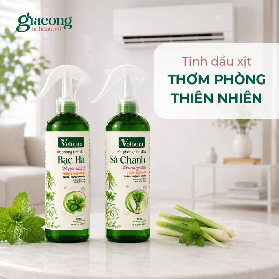 Dự án gia công tinh dầu xịt phòng Veloura theo hình thức OEM ODM với công thức và bao bì riêng cho thương hiệu