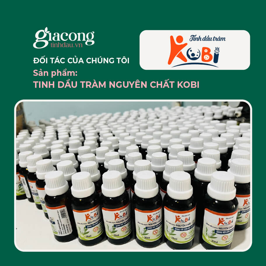 Nhu cầu gia công tinh dầu tràm nguyên chất cho thương hiệu riêng