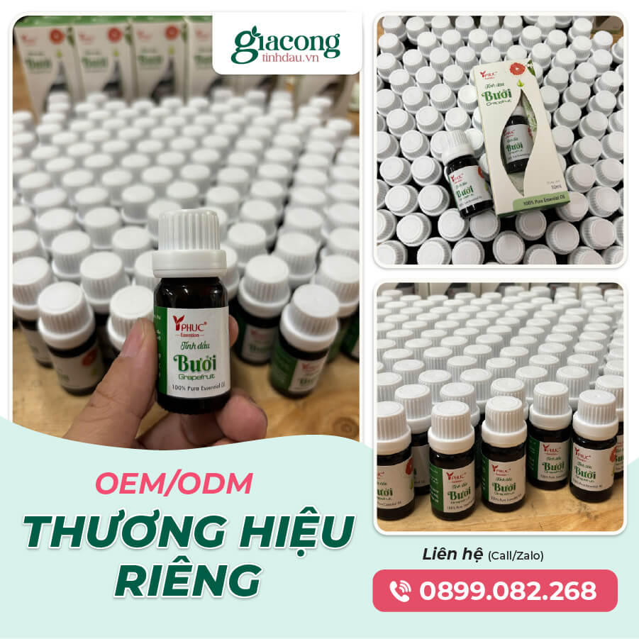 Giải pháp gia công tinh dầu vỏ bưởi nguyên chất OEM ODM