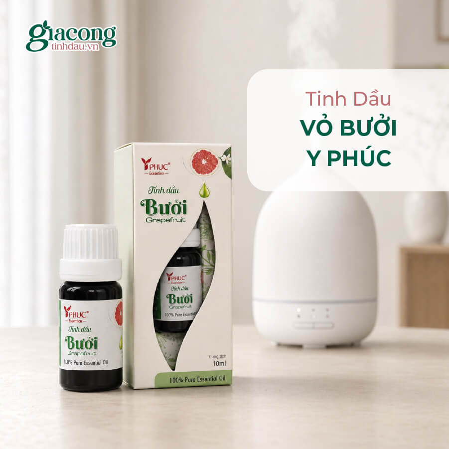 Giới thiệu dự án gia công tinh dầu vỏ bưởi nguyên chất Y Phúc
