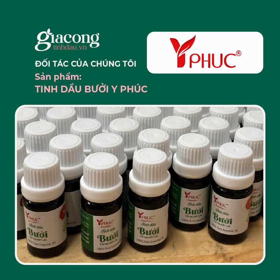Nhu cầu gia công tinh dầu vỏ bưởi nguyên chất của khách hàng